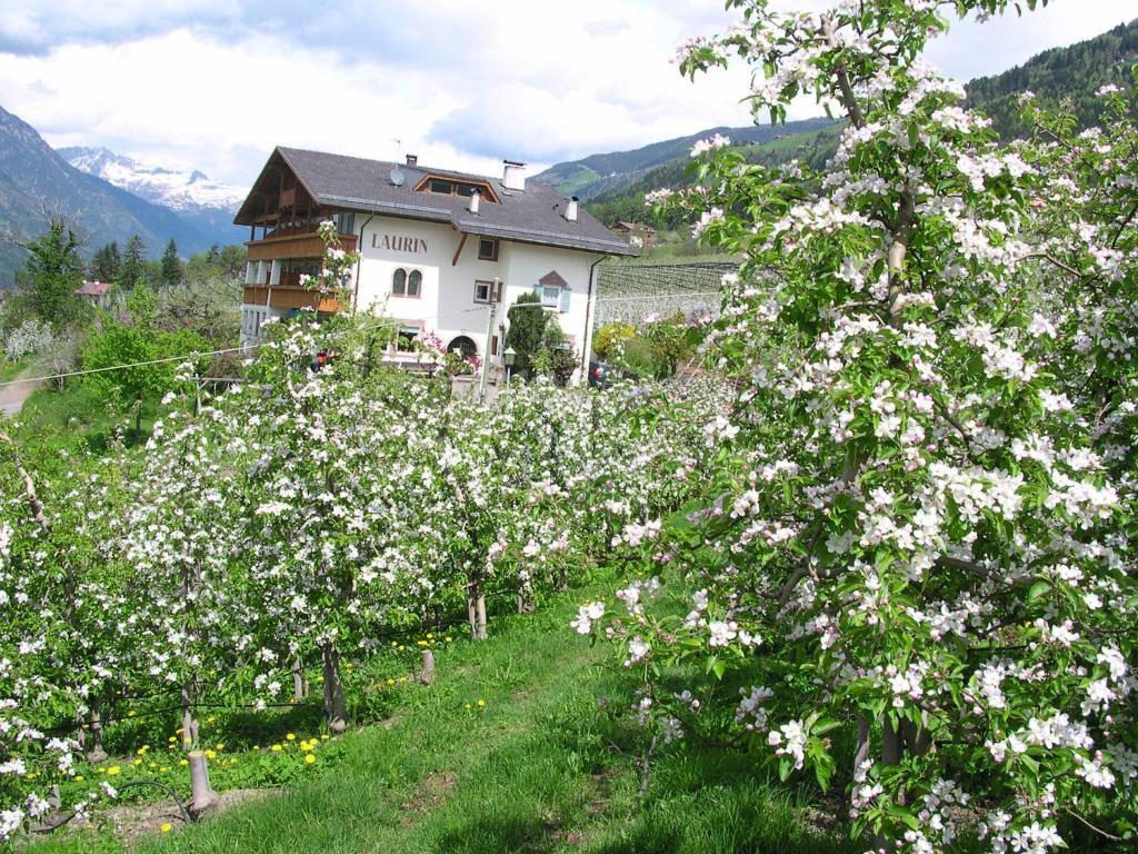 Pension Laurin เชนนา ภายนอก รูปภาพ