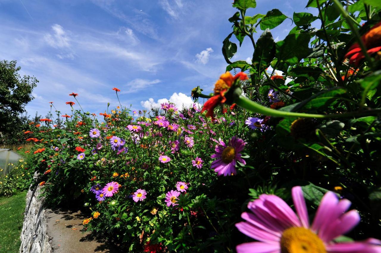 Pension Laurin เชนนา ภายนอก รูปภาพ